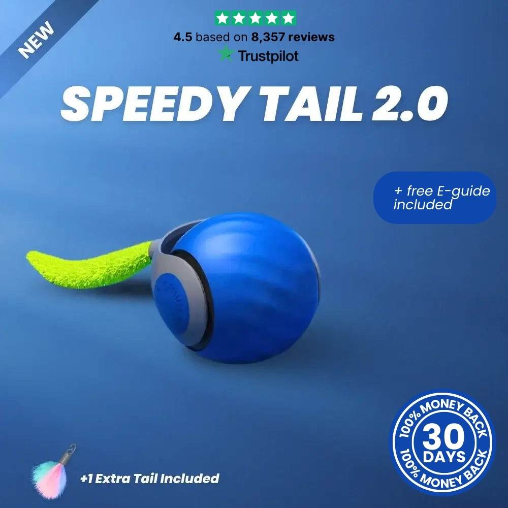 SPEEDY TAIL 2.0