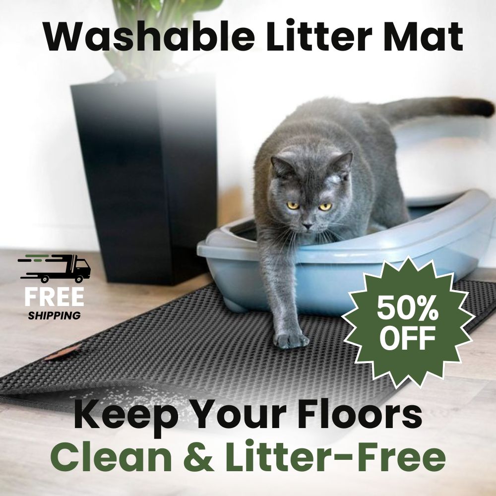 Pet Cat Litter Mat