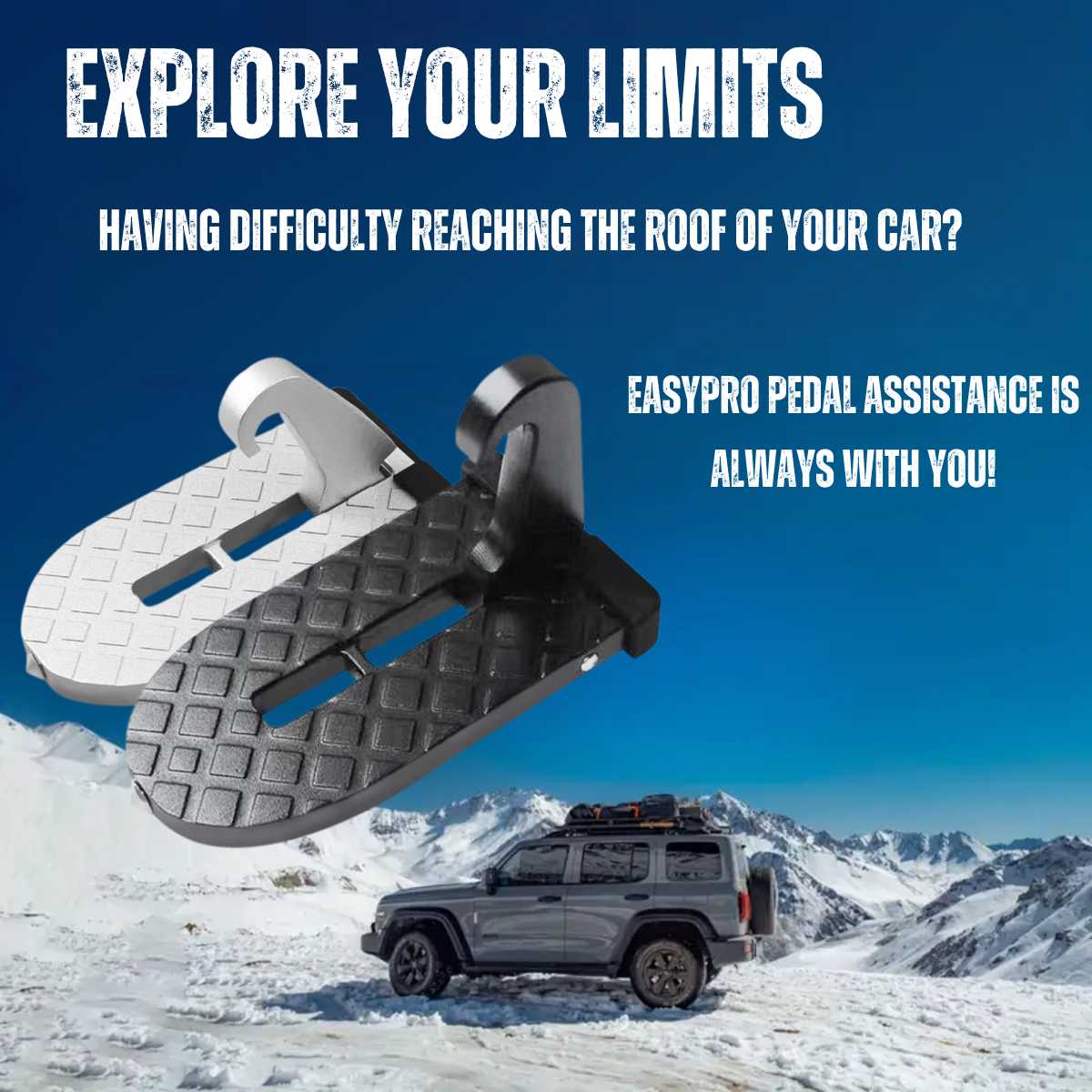 EasyPRO Pedal Assistance ice