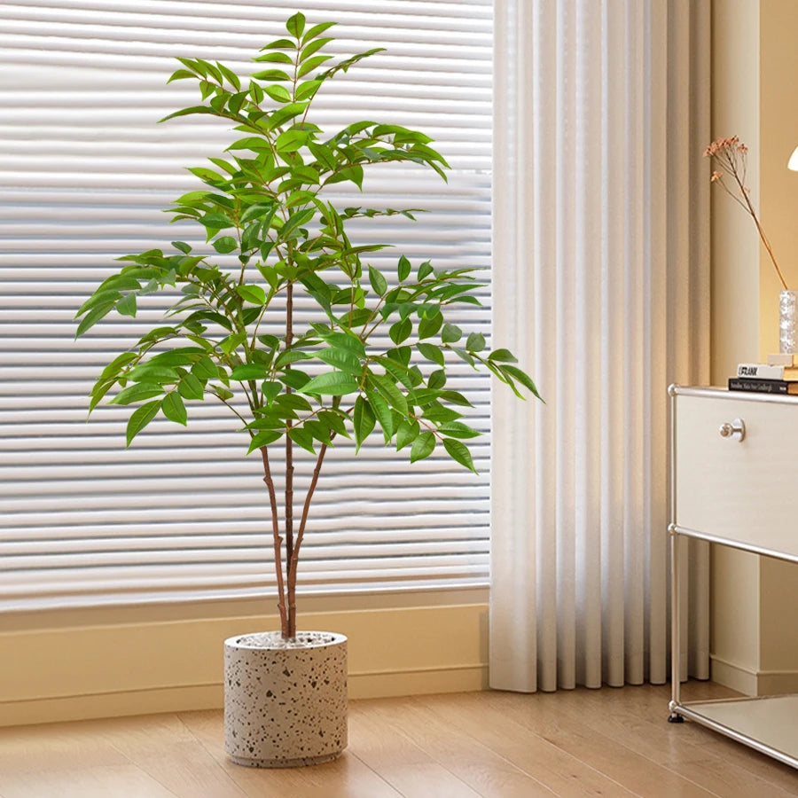 Evergreen Ficus Home Decor